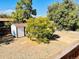 Large backyard with shed and mature trees at 5103 Wheeling St, Denver, CO 80239