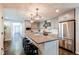 Modern kitchen with stainless steel appliances, a large island, and stylish pendant lighting at 3346 N Josephine St, Denver, CO 80205
