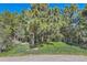 Landscaped front yard with mature pine trees, lush greenery and a stone retaining wall at 10450 Hondah Dr, Littleton, CO 80127