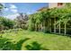 Lush backyard with a verdant lawn, mature trees, climbing vines, and a patio, creating a tranquil outdoor space at 199 Lafayette St, Denver, CO 80218