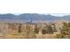 Scenic aerial view of the neighborhood with mature trees and stunning mountain backdrop at 2525 S Dayton Way # 1514, Denver, CO 80231