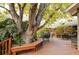 Spacious backyard featuring a wooden deck, bench, and dining sets beneath a large, mature tree at 1800 S Niagara Way, Denver, CO 80224