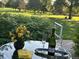 Relax with champagne on the patio, boasting lovely golf course views at 13781 E Marina Dr # A, Aurora, CO 80014