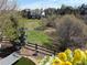 Serene backyard view from deck featuring lush greenery, mature trees, and a relaxing hammock at 12380 Jasper Pointe Way, Castle Pines, CO 80108