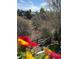 Backyard view framed by flowers, showcasing lush greenery, trees, and distant neighborhood homes at 12380 Jasper Pointe Way, Castle Pines, CO 80108