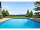Scenic view of a sparkling pool with landscaped yard, string lights and mountain views at 10914 Remmick Ridge Rd, Parker, CO 80134