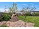 Landscaped backyard featuring a brick pizza oven and a lush lawn at 3975 S Jason St, Englewood, CO 80110