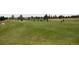 Golfers practicing on a lush green driving range on a bright day at 8216 S Tempe Ct, Aurora, CO 80016