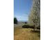 Scenic view of mountains in the distance framed by a flowering tree in the foreground at 3225 Rinn Valley Dr, Longmont, CO 80504