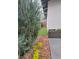Landscaped side yard with stone mulch, artificial grass, and a small garden at 1152 S Ogden St, Denver, CO 80210