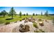 Landscaped backyard featuring a brick-paved area with a fire pit and seating at 34942 Wagon Wheel Trl, Elizabeth, CO 80107