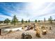Scenic backyard patio with a fire pit and comfortable seating, perfect for outdoor relaxation at 34942 Wagon Wheel Trl, Elizabeth, CO 80107