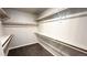 Walk-in closet featuring installed shelving and plush carpet at 16830 Mckay Dr, Mead, CO 80542