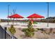 Community pool and splash pad for with shady umbrellas and nearby playground at 2905 Morningbird Ln, Castle Rock, CO 80109
