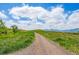 Scenic walking path winding through green, grassy hills with mountains visible in the distance at 584 Ridgeview Dr, Louisville, CO 80027