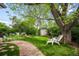 Relaxing backyard oasis featuring lush greenery, mature trees, and inviting seating under a large shade tree at 9045 W Ithaca Pl, Denver, CO 80235