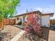Backyard with tree, white brick siding on the house, and mulch in the yard at 3450 N Harrison St, Denver, CO 80205