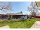Spacious backyard featuring a lawn, privacy fence, and mature trees, ideal for outdoor living at 6071 S Ingalls St, Littleton, CO 80123