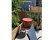 Well-kept backyard featuring a vegetable garden, decorative plants, and a sitting area for relaxation at 4318 Fossil Way, Castle Rock, CO 80109