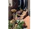 Charming front porch adorned with colorful flowers, decorative elements, and two adorable dogs at 4318 Fossil Way, Castle Rock, CO 80109