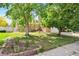 Well-manicured front yard with mature trees and a charming garden bed enhancing the home's curb appeal at 11530 Elm Ct, Thornton, CO 80233