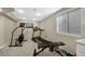 Basement home gym, treadmill, elliptical, and weights at 89 Dawn Heath Cir, Littleton, CO 80127