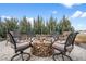 Charming stone fire pit surrounded by comfortable seating and lush evergreens for outdoor enjoyment at 11177 E 162Nd Pl, Brighton, CO 80602