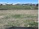 An undeveloped lot with views of a well-maintained community green space at 14573 Hudson Way, Thornton, CO 80602