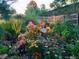 Vibrant backyard garden with colorful flowers, lush greenery, and decorative rocks for a peaceful outdoor setting at 1196 S Quebec Way, Denver, CO 80231