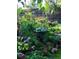 Lush backyard garden filled with verdant plants and rocks, offering a tranquil and visually appealing outdoor space at 1196 S Quebec Way, Denver, CO 80231