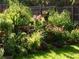 Beautiful backyard garden featuring diverse plants, flowers, and grasses, creating a serene and natural landscape at 1196 S Quebec Way, Denver, CO 80231