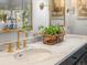 Bright bathroom featuring a marble countertop, gold fixtures, and a plant for a touch of nature at 3 Winged Foot Way, Littleton, CO 80123