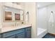 Bathroom featuring a vanity with a sink, a mirror and a walk-in shower/tub combination at 205 Loop Dr, Georgetown, CO 80444