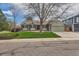 Charming home with a large tree in the front yard, lush green lawn, and a two-car garage at 6376 S Pierson St, Littleton, CO 80127