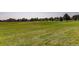 Nearby grassy sports field and green space with a view of trees at 6376 S Pierson St, Littleton, CO 80127