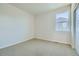 Well-lit bedroom featuring carpet and window at 13840 Deertrack Ln, Parker, CO 80134