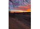 Scenic landscape view of an orange and blue colored sunset behind bare trees at 2685 S Dayton Way # 141, Denver, CO 80231