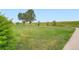 Scenic view of a vast green space and walking path, ideal for outdoor activities at 19431 E Wyoming Ave, Aurora, CO 80017