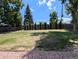 Large grassy backyard featuring privacy fence and mature landscaping at 420 E 104Th Pl, Northglenn, CO 80233