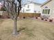 Large backyard with patio area, perfect for outdoor dining and entertaining guests at 21024 E 49Th Ave, Denver, CO 80249