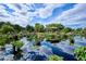 Serene water garden with lush plants and gazebo at 1133 Race St # 8 & 9 B, Denver, CO 80206