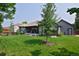 Spacious backyard featuring a well-manicured lawn, mature trees, and a covered patio area perfect for outdoor living at 1735 Crestone Dr, Longmont, CO 80504