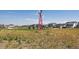 Community park featuring a decorative windmill in open field, with homes visible in the background at 18708 E 99Th Ave, Commerce City, CO 80022