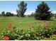 Well-manicured golf course with colorful flowers in the foreground on a sunny day at 645 S Alton Way # 9A, Denver, CO 80247