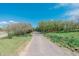 Long driveway leading to a gated home surrounded by lush greenery and mature trees under a bright blue sky at 6334 Cherokee Dr, Sedalia, CO 80135