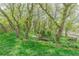 Secluded garden scene featuring a bench seat and small table set amongst shade trees and flowering foliage at 6334 Cherokee Dr, Sedalia, CO 80135