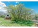 Well-maintained shed nestled among mature trees in a lush backyard setting at 6334 Cherokee Dr, Sedalia, CO 80135