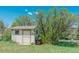 Charming backyard shed surrounded by mature trees and lawn at 6334 Cherokee Dr, Sedalia, CO 80135