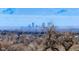 Panoramic city views from a serene location with mature trees in the foreground at 7022 Secrest Ct, Arvada, CO 80007