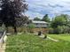 Lush green backyard with healthy lawn and privacy fence at 1158 E Easter Ct, Centennial, CO 80122